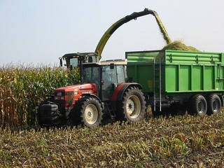 farm implement harvesting corn