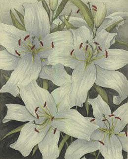 painting of white lillies